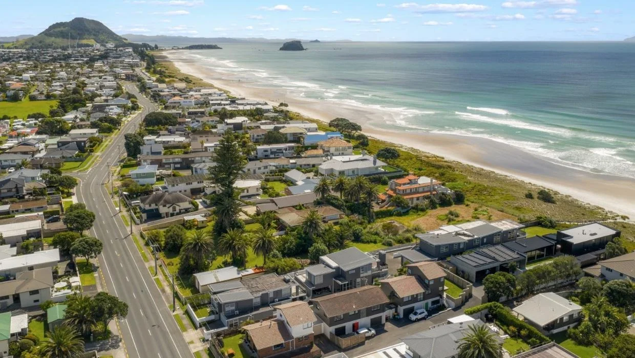 aerial view of the plot