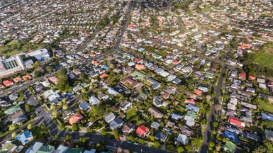 Auckland from above