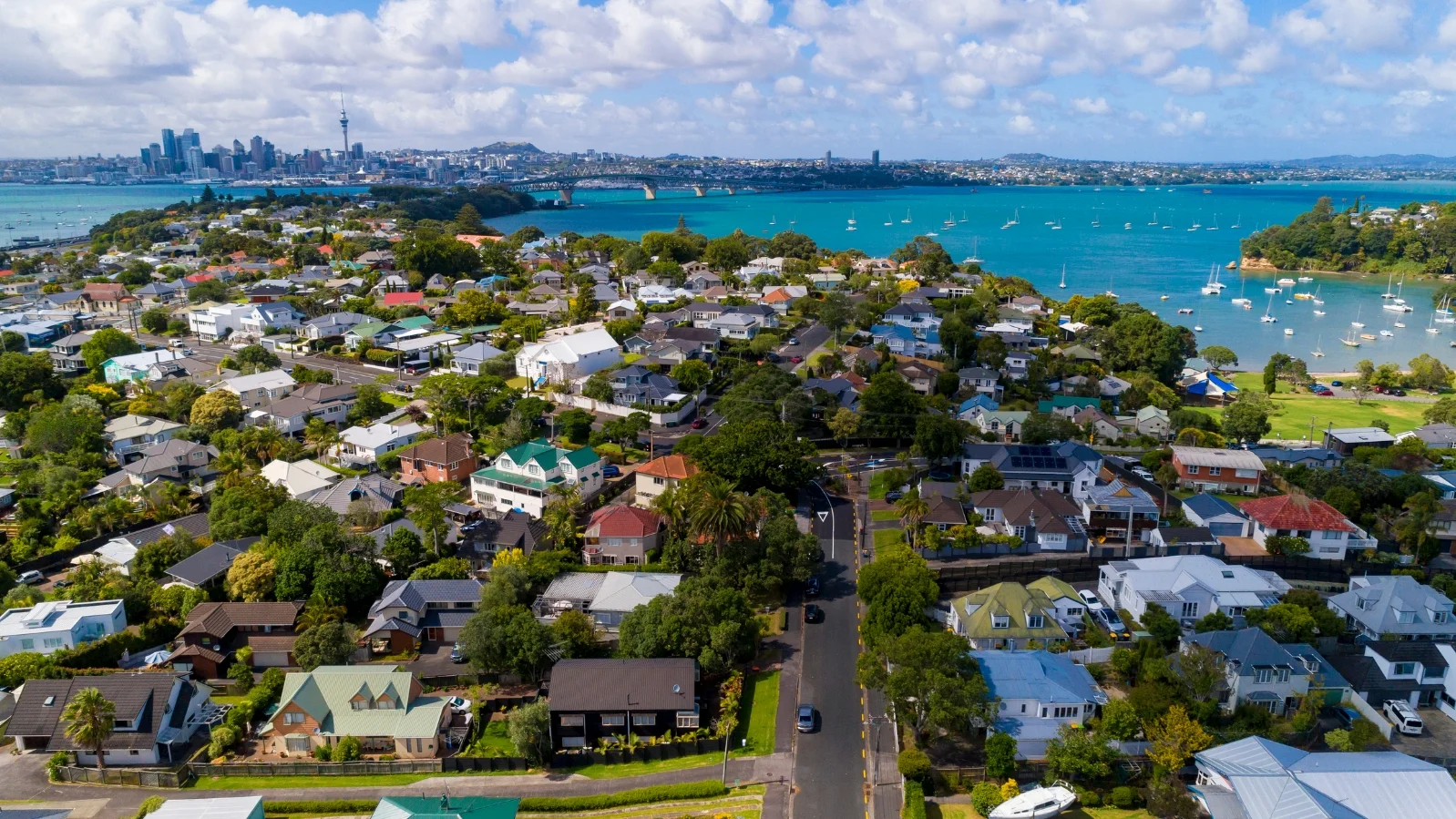 Houses near the coast in New Zealand