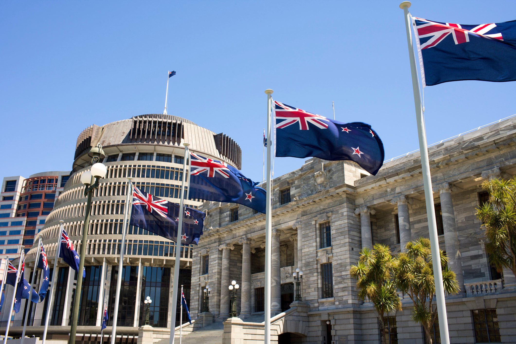 Parliament with NZ flags