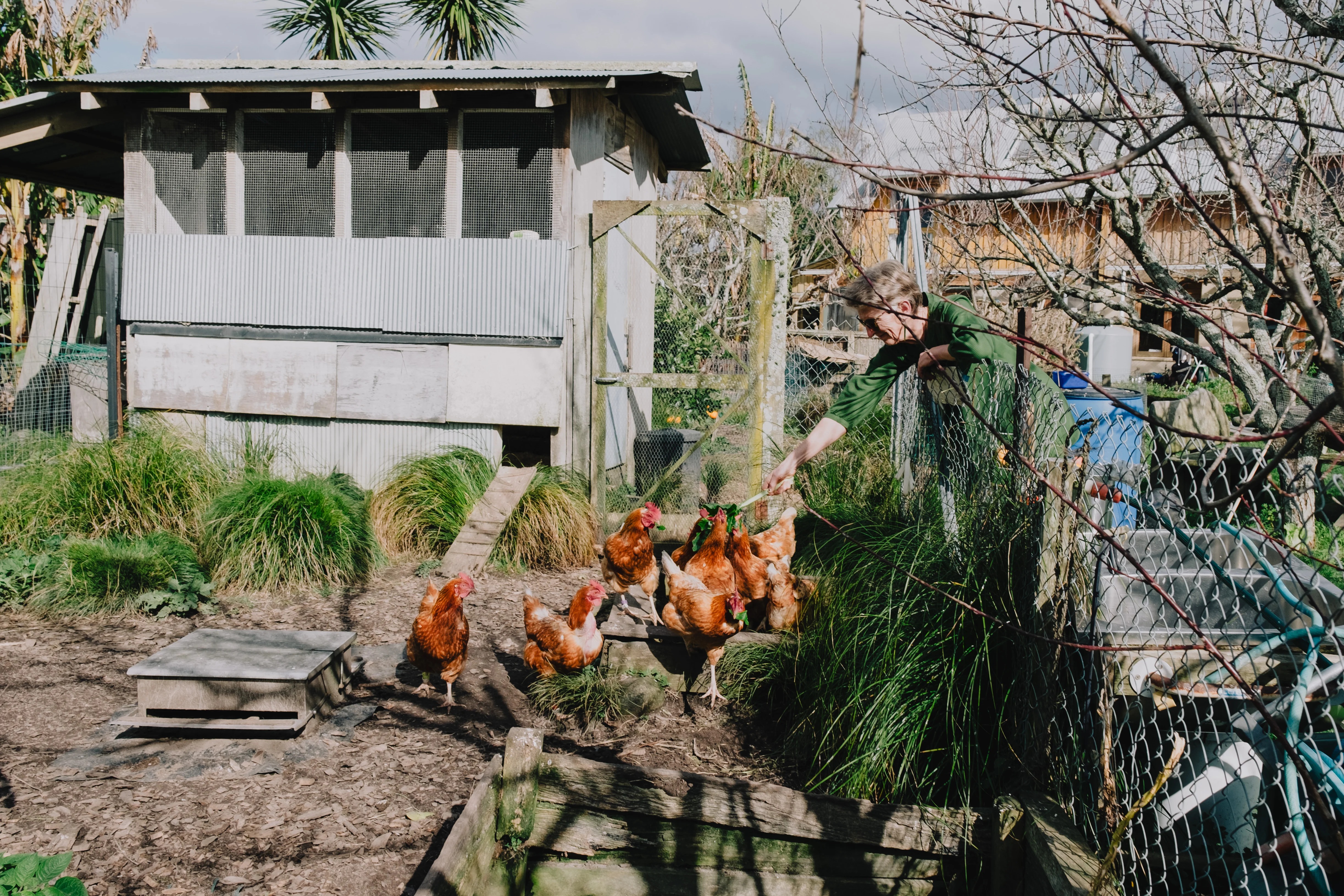 More photos of Robin's home