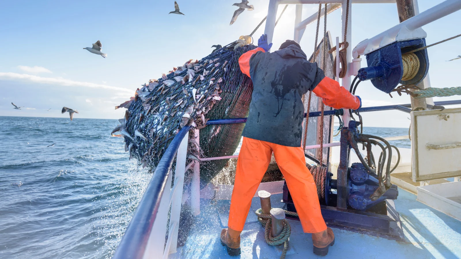 Fishing with net on boat. 