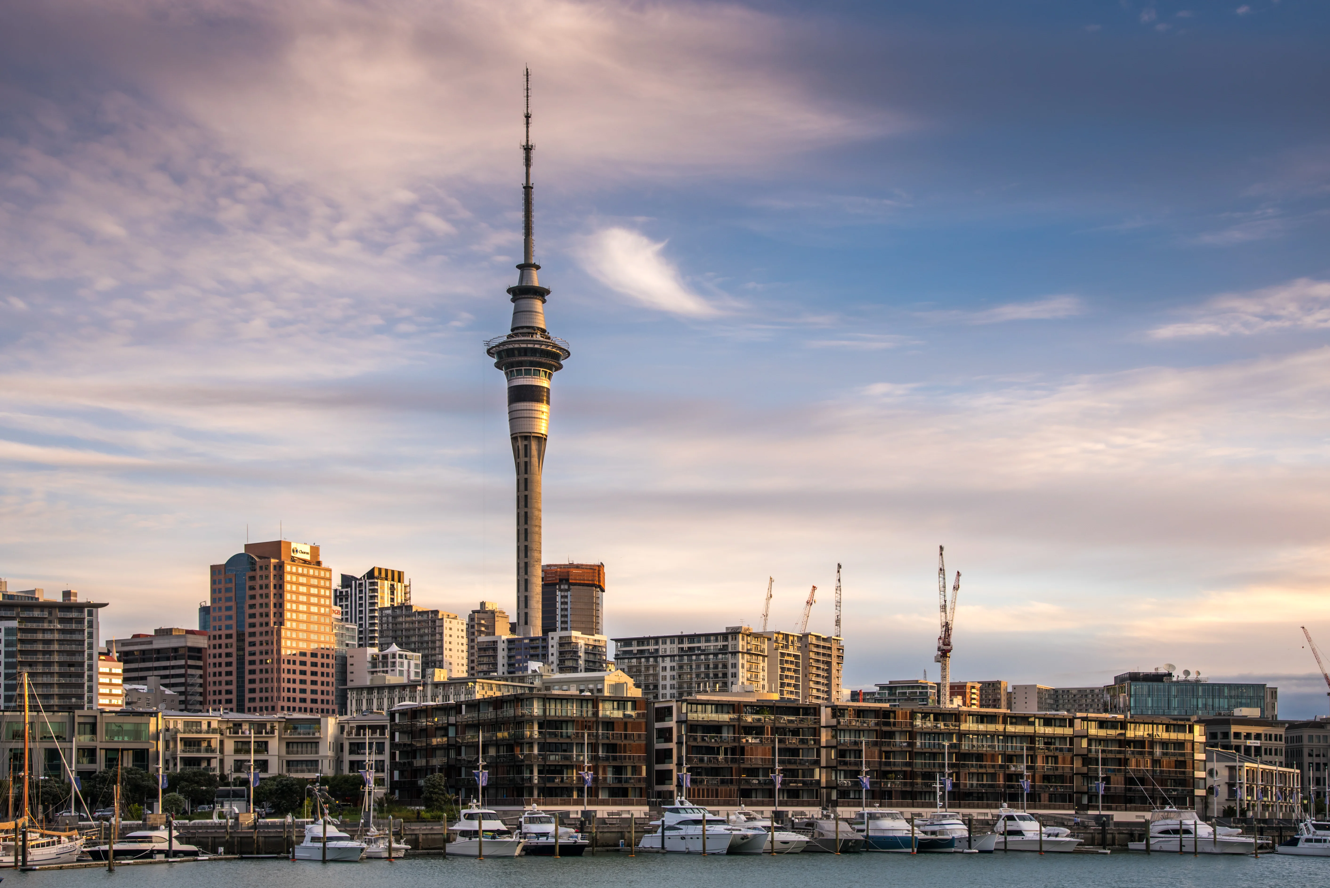 Auckland city landscape that shows the iconic sky tower sticking out above the skyline