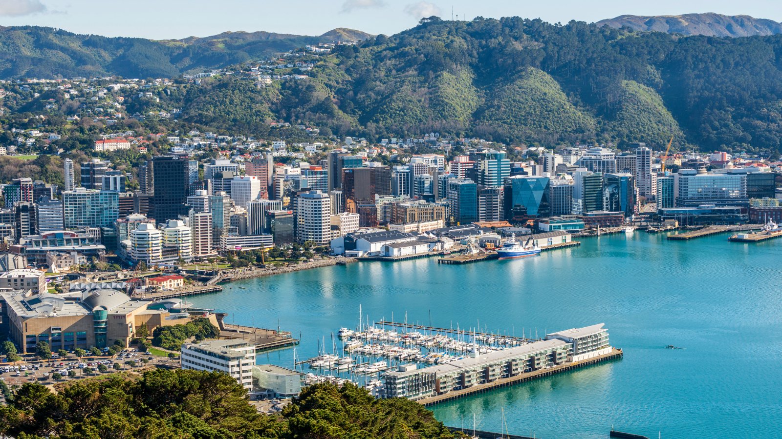Wellington Harbour