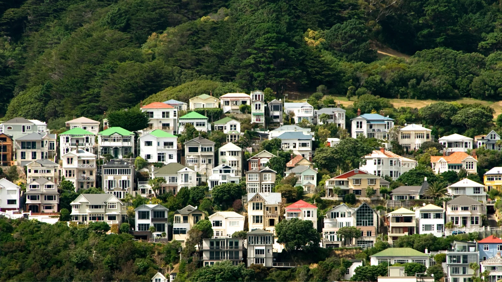 How to use property insights when you're buying a property.