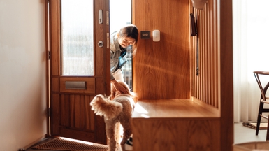 Picture of dog welcoming woman at front door