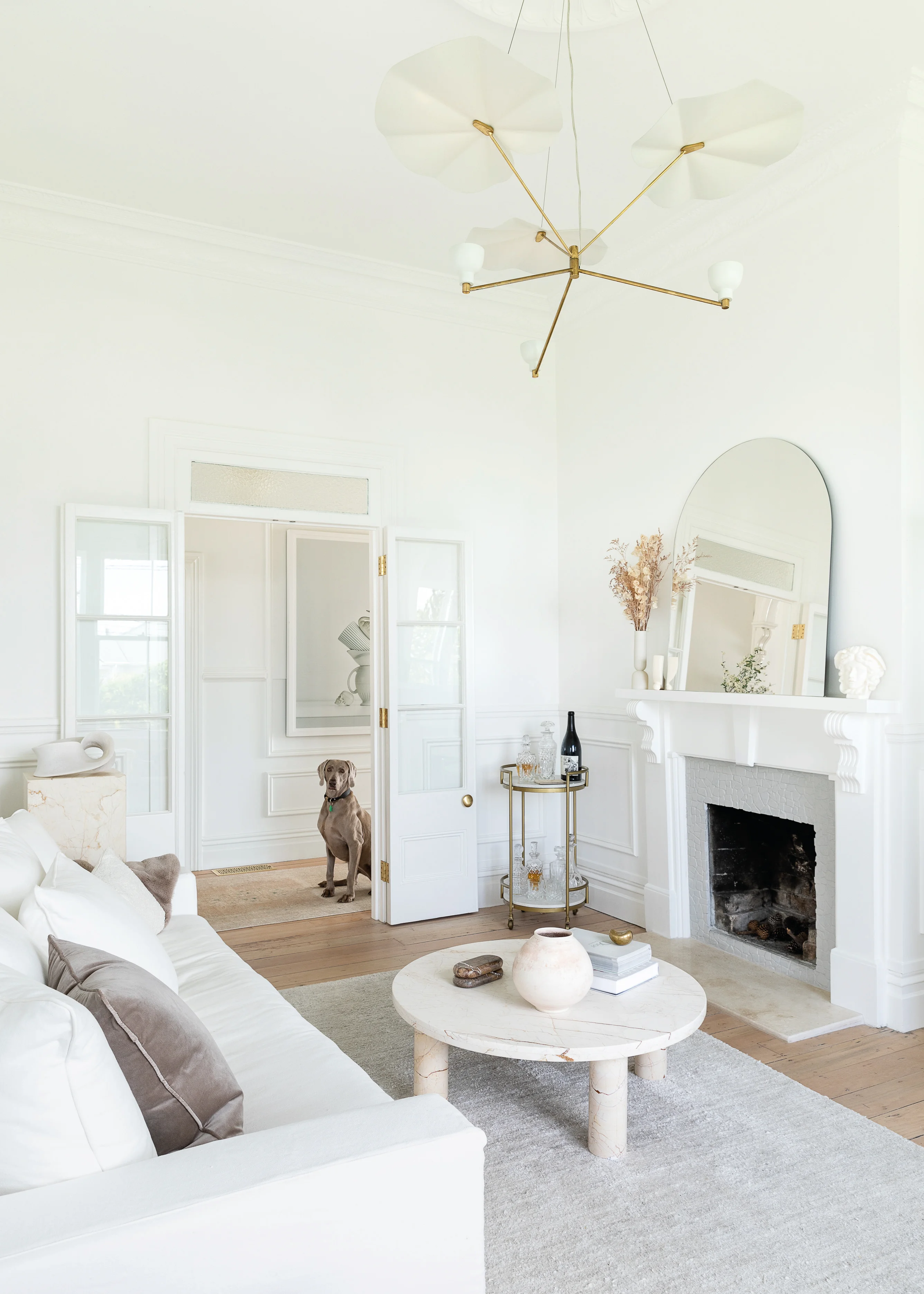 Dog in the doorway of the living room!