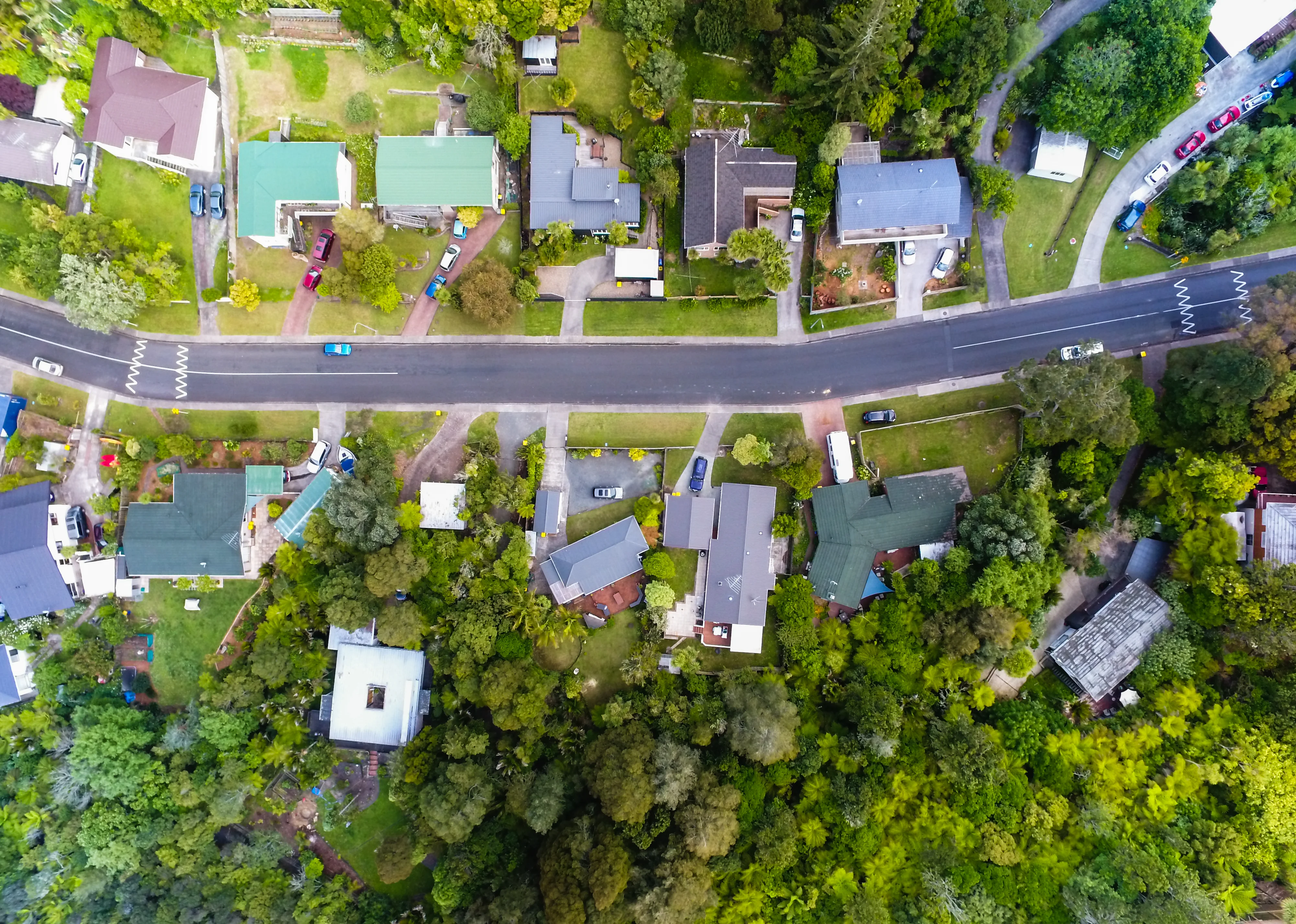 Birds eye view of New Zealand houses in a leafy neighbourhood.