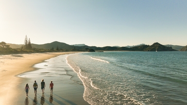 Great Barrier Island