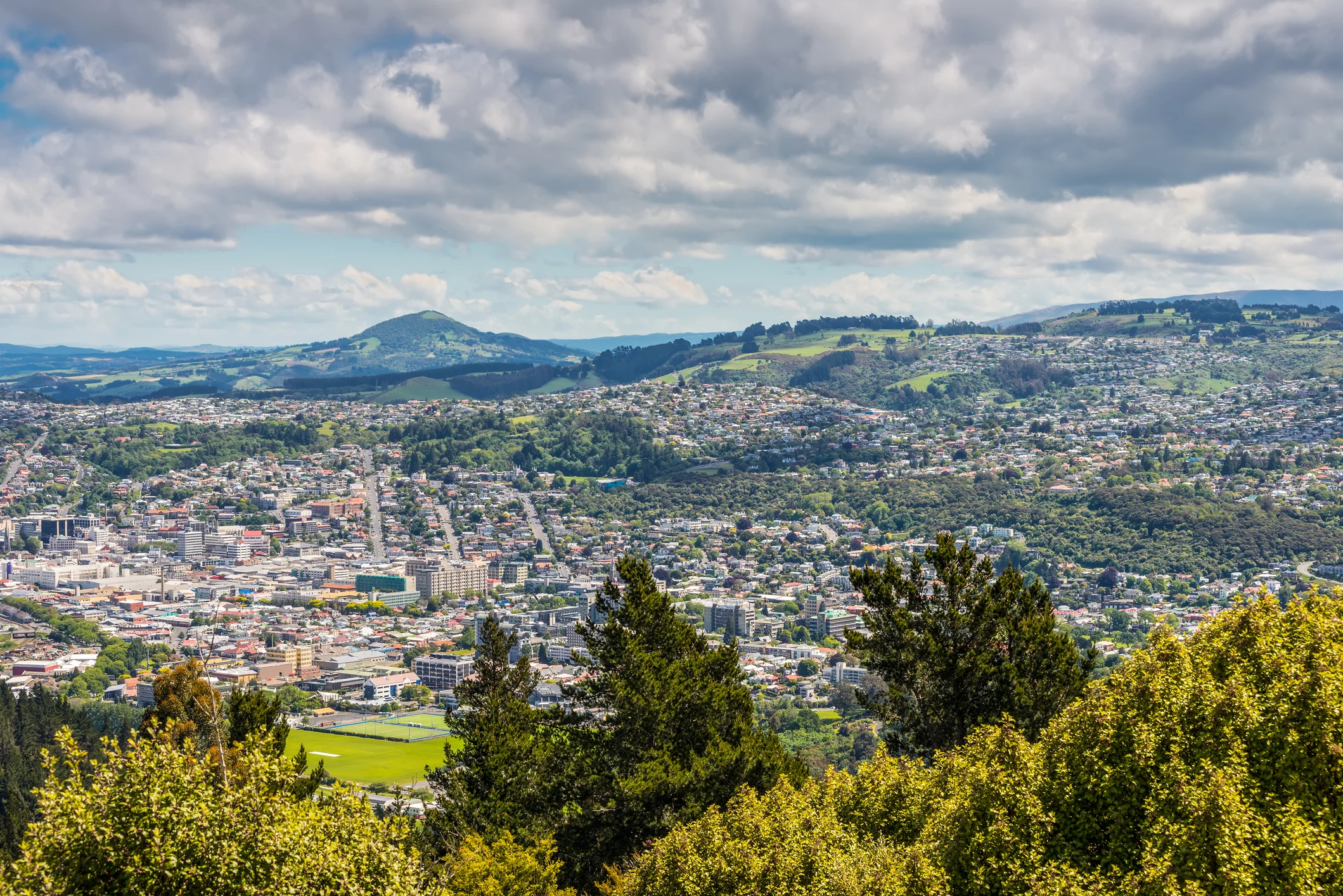 Dunedin city aerial