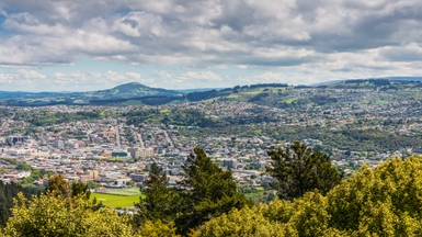 Dunedin city aerial 