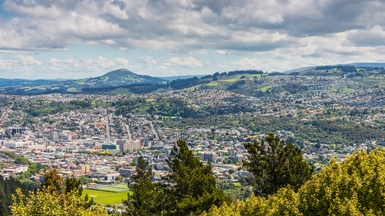 Dunedin city aerial