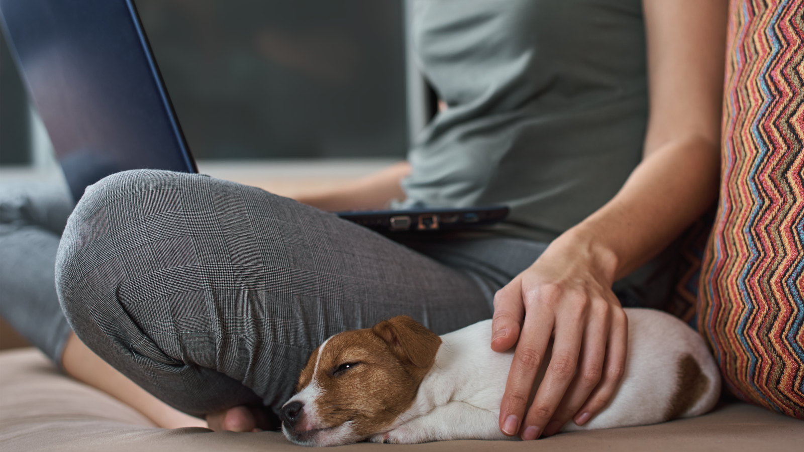Employee working with her dog