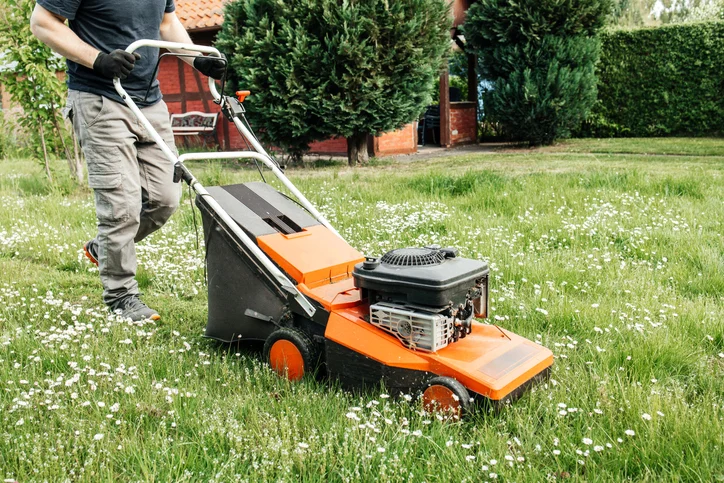 Best Lawn Mowers in NZ