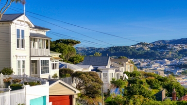 View of NZ homes