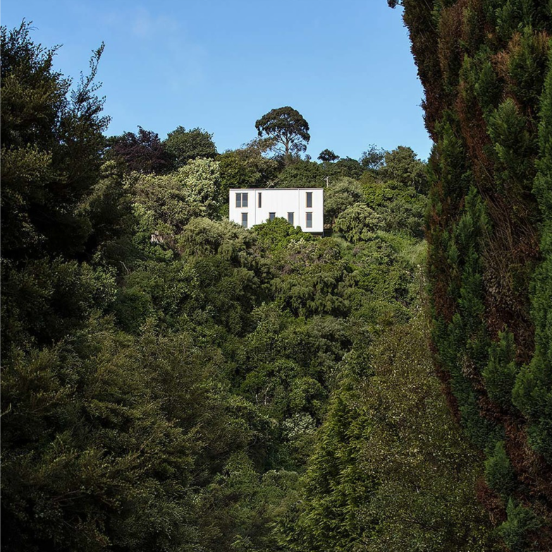 Kōwhai House by Rafe Maclean Architects
