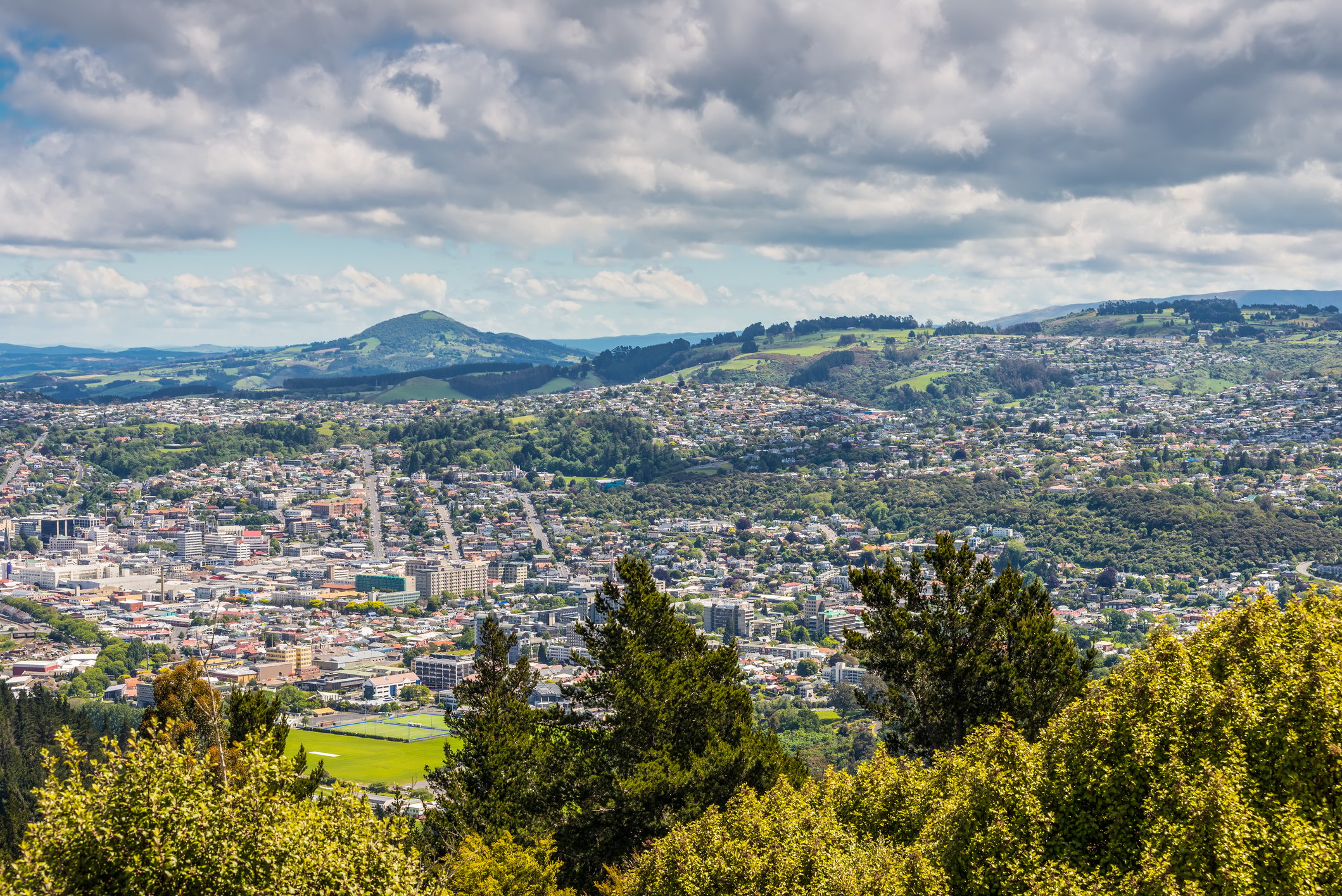 Dunedin view