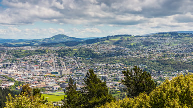 Dunedin view