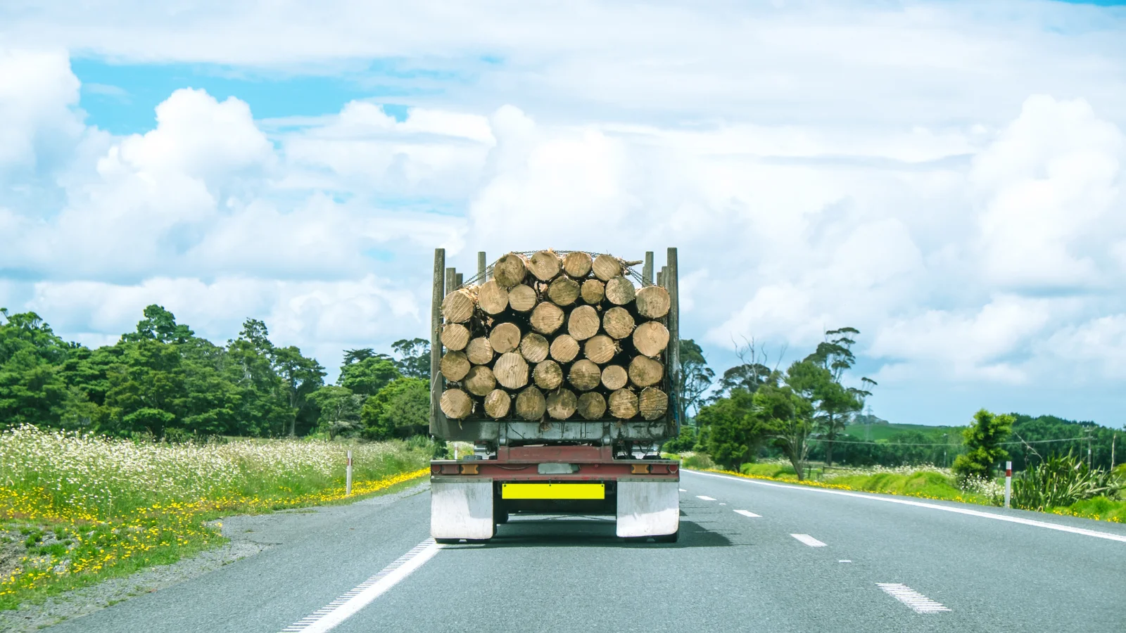 Truck with logs.