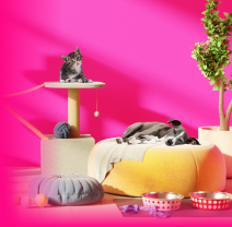 National pet day sale