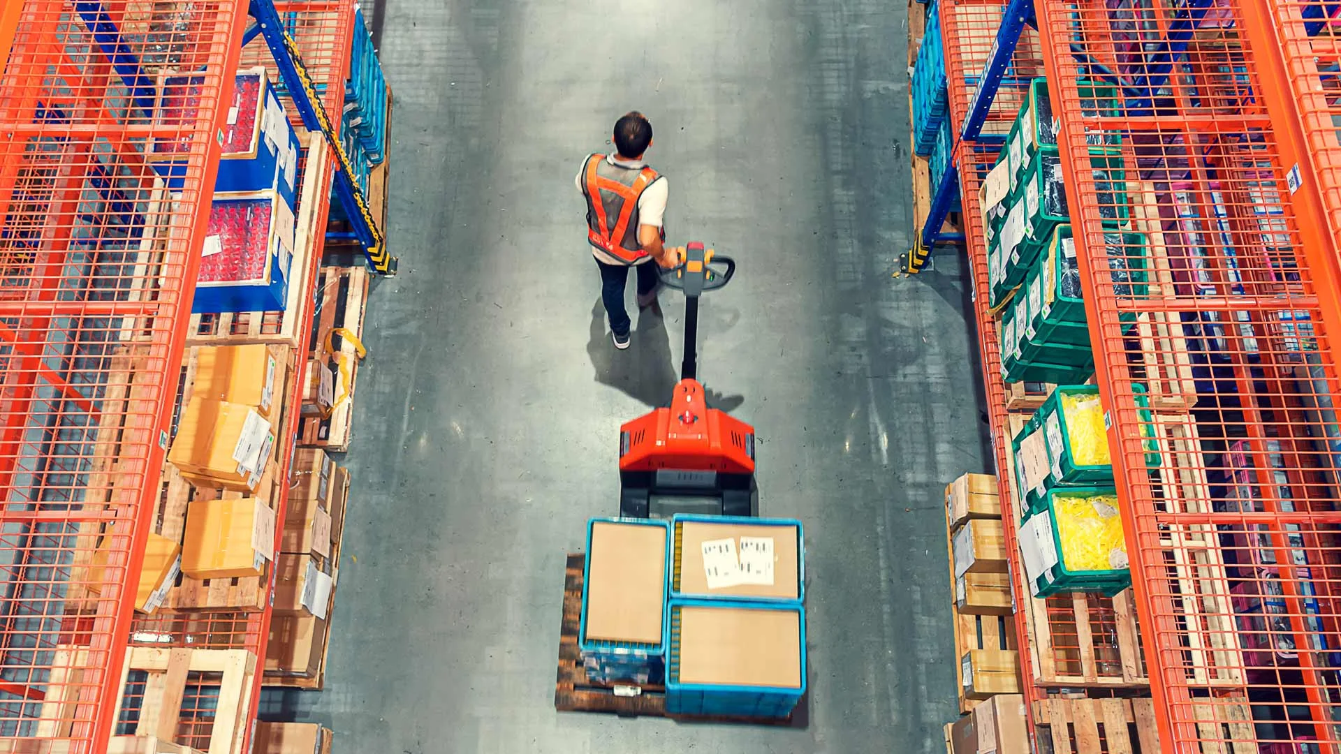 Man working a warehouse job in New Zealand.