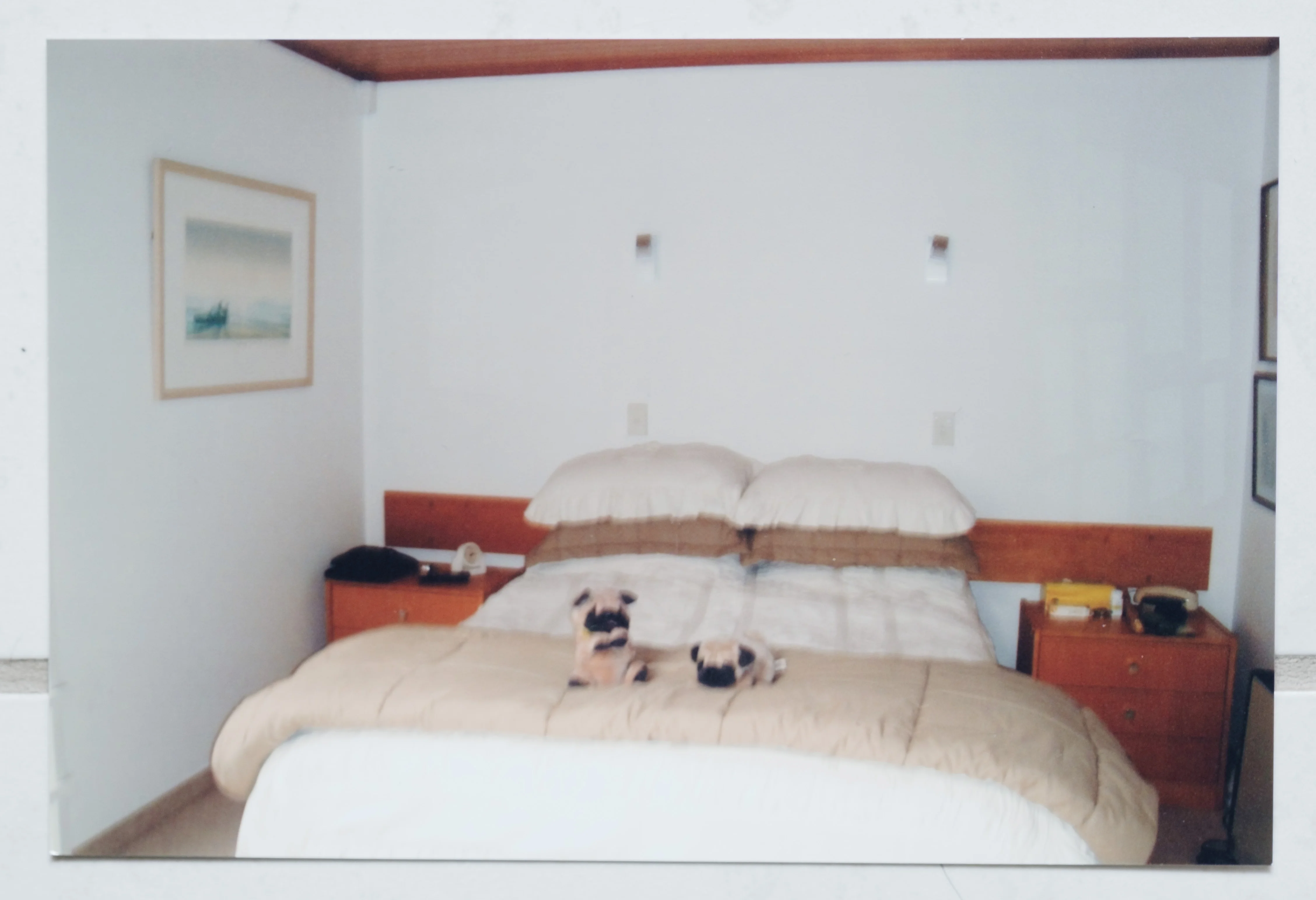 Before and after images of the house then and now