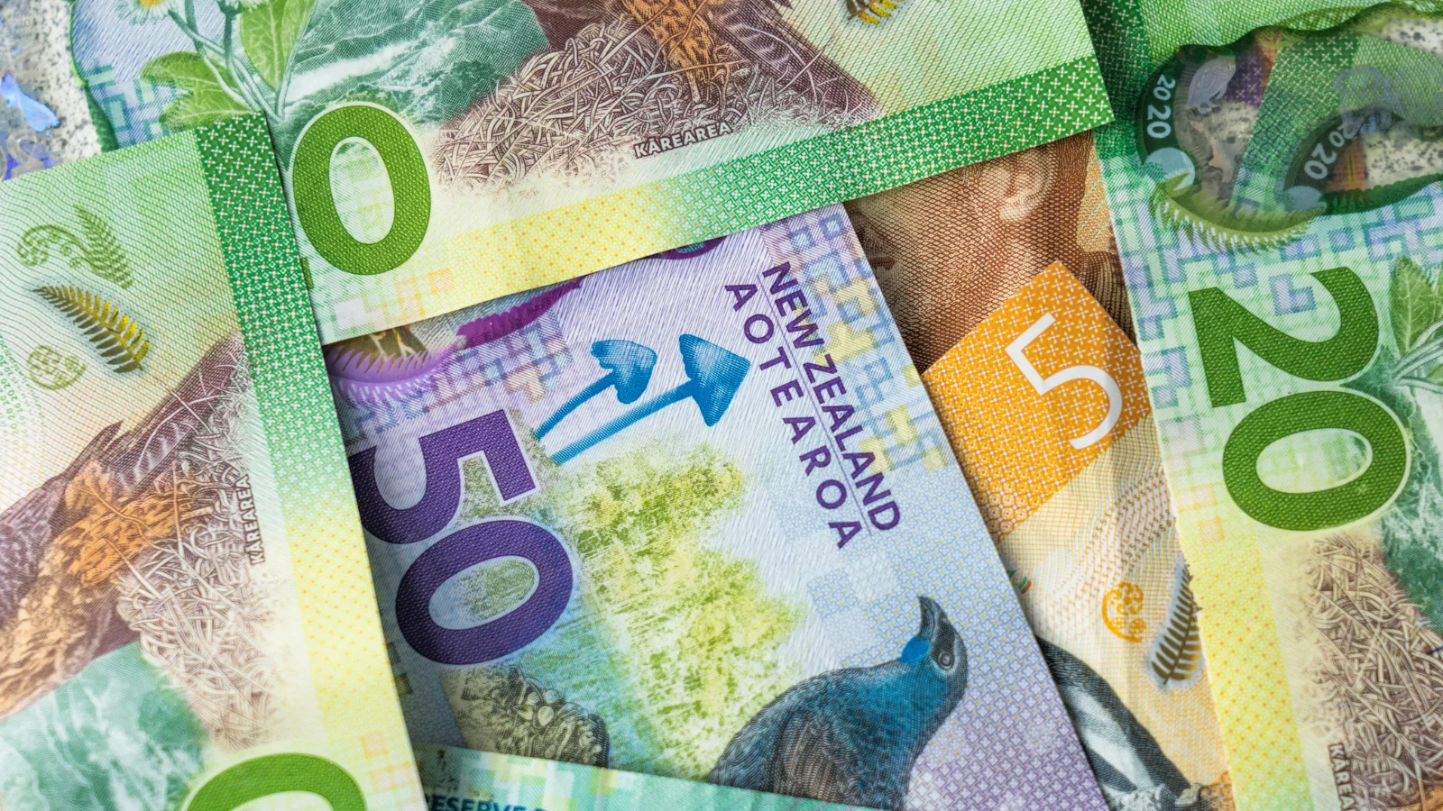 Close of shot of NZD bills.