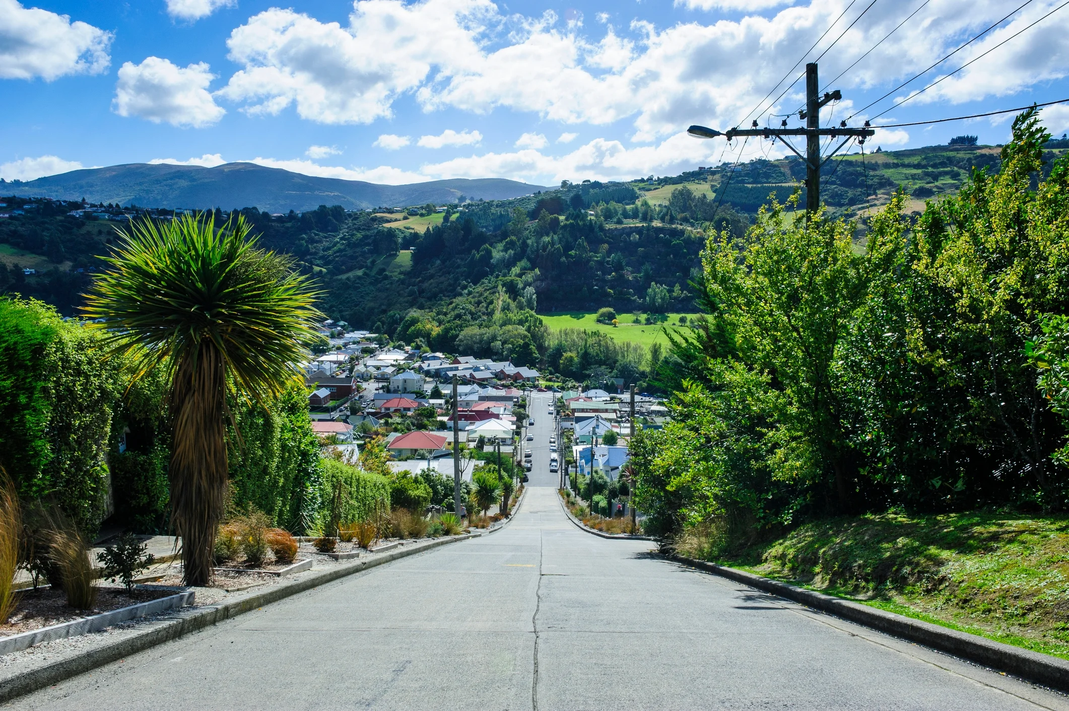 Aerial view of houses in Auckland, New Zealand