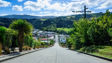 Aerial view of houses in Auckland, New Zealand