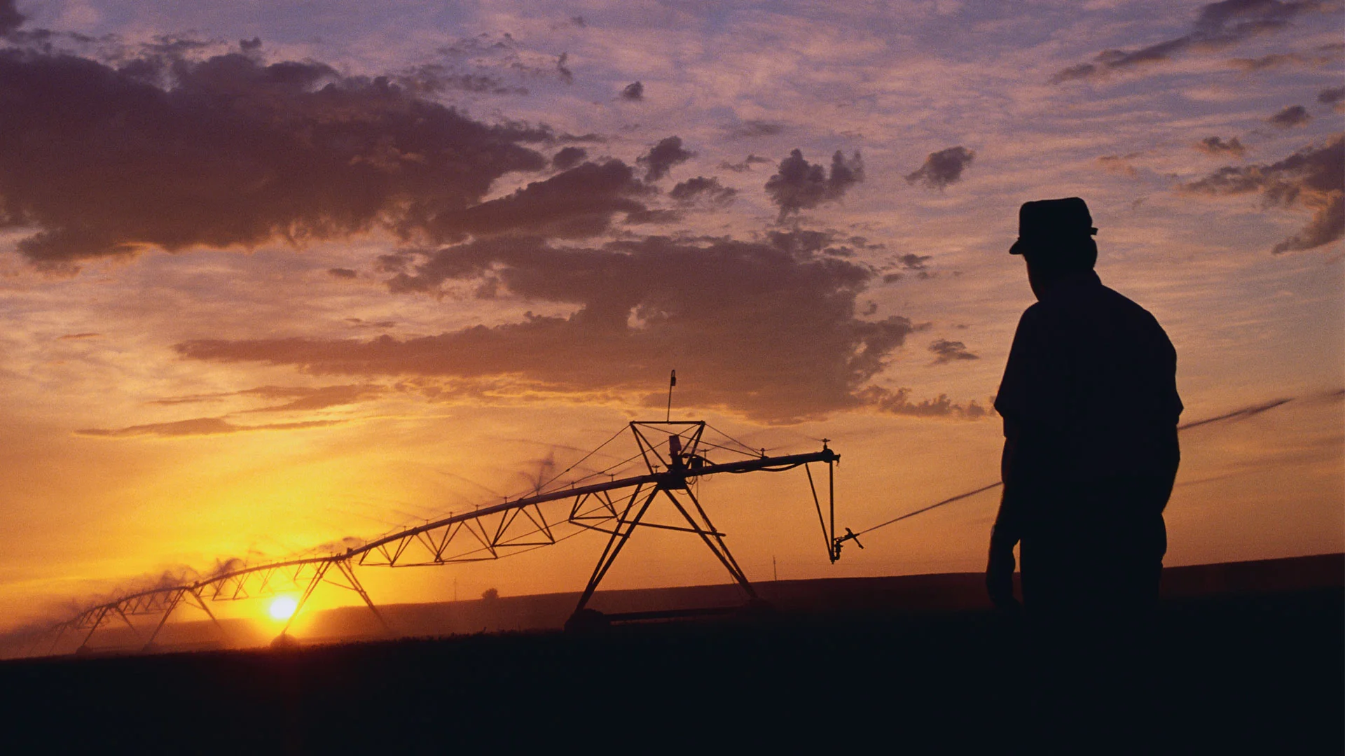 Sunsetting behind farm equipment in a field.