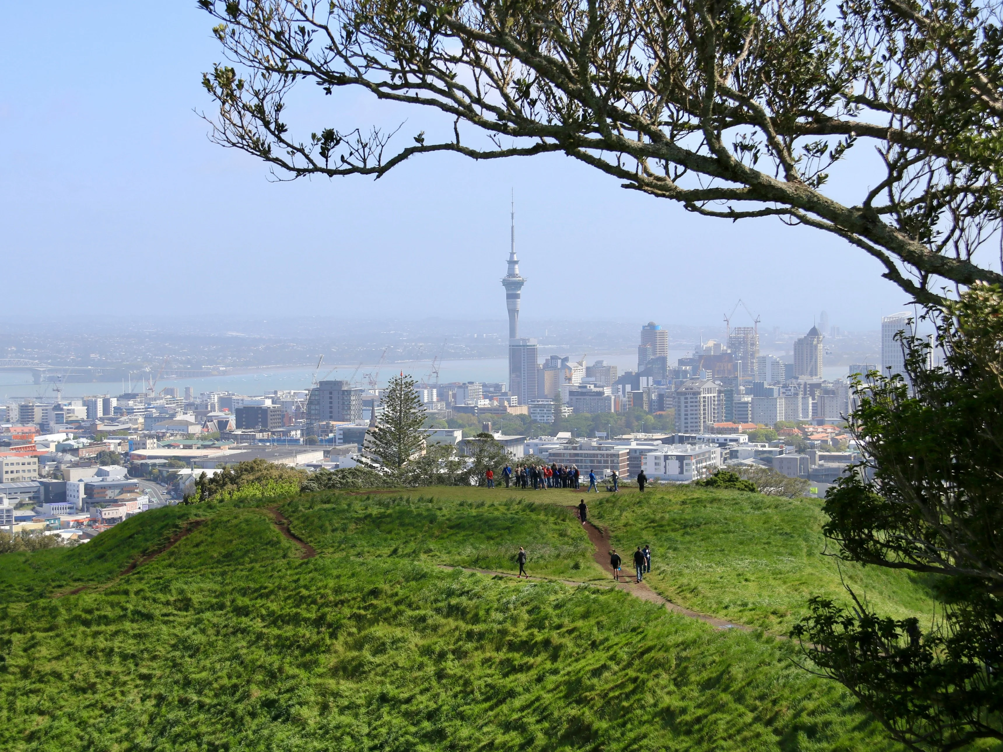 Picture of Auckland, one of the cities featured in the May Property Price Index 2024
