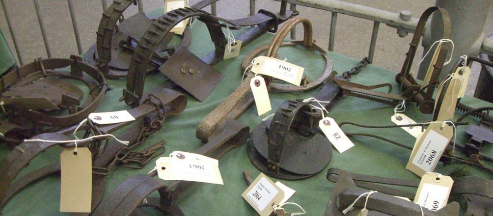 A collection of hard jaw traps