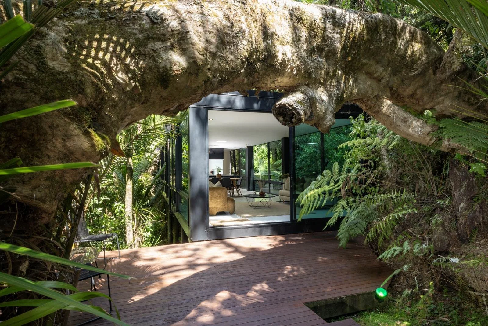 A modern house is hidden behind lots of native bush and trees. The structure and design of the house blends perfectly into the background.