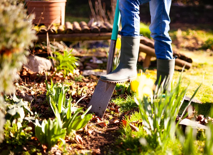 A close-up of a person wearing gumboots, using a spade to dig into garden soil. The scene is bright and sunny, featuring green shoots, dry leaves, and yellow spring flowers, emphasising seasonal yard work and planting.