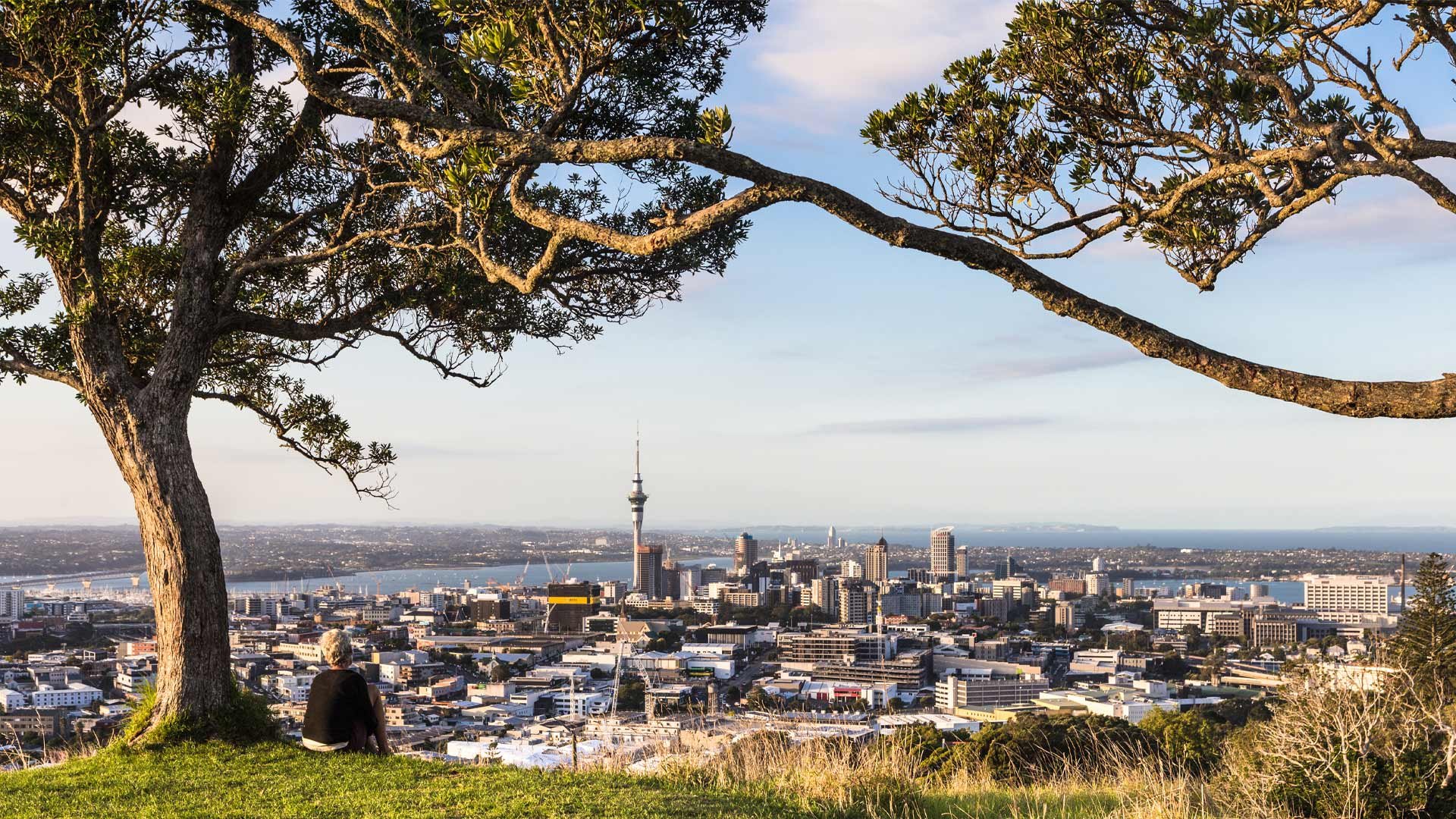 Woman sitting on the hill overlooking Auckland