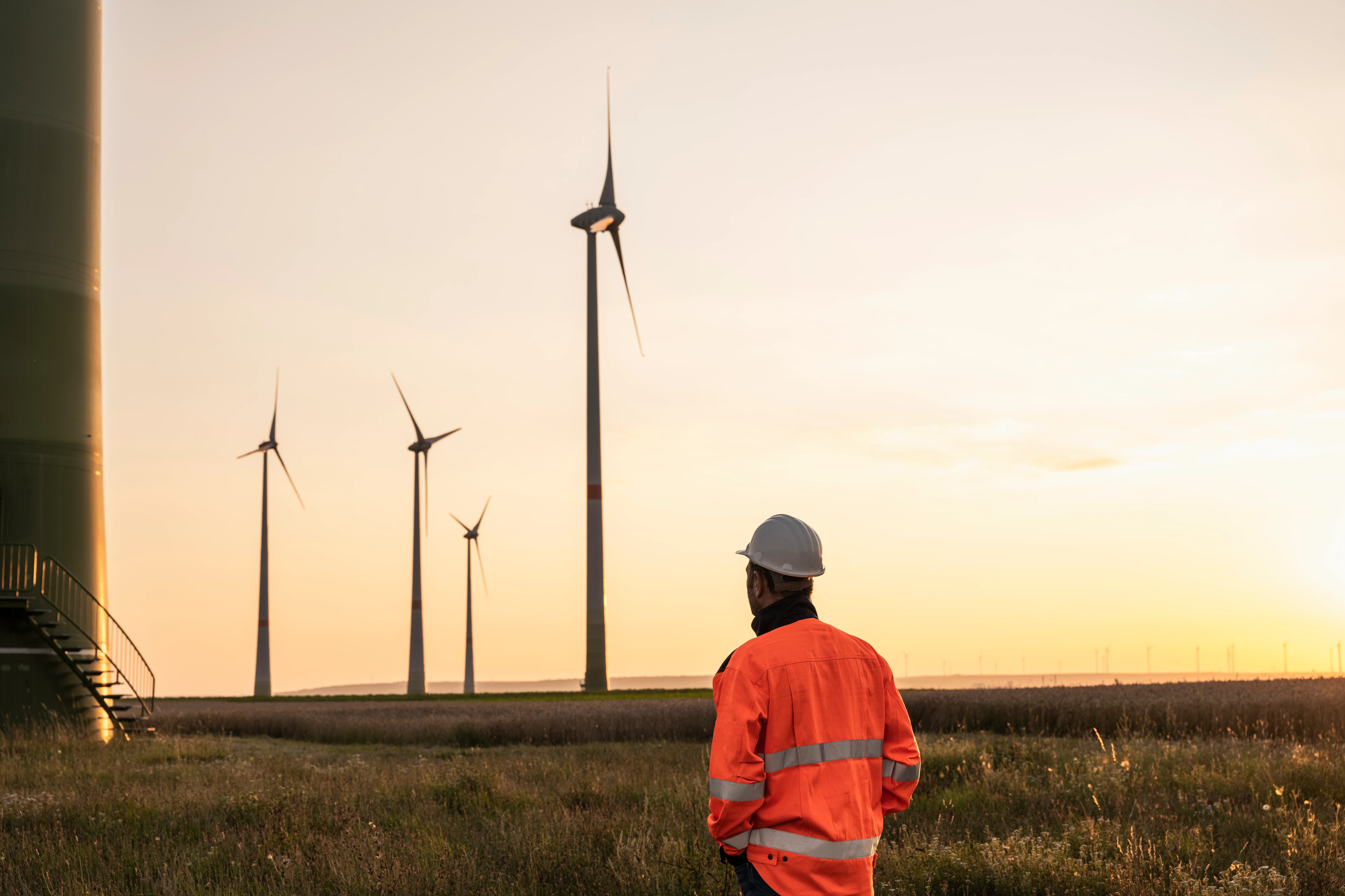 Sustainable energy business.