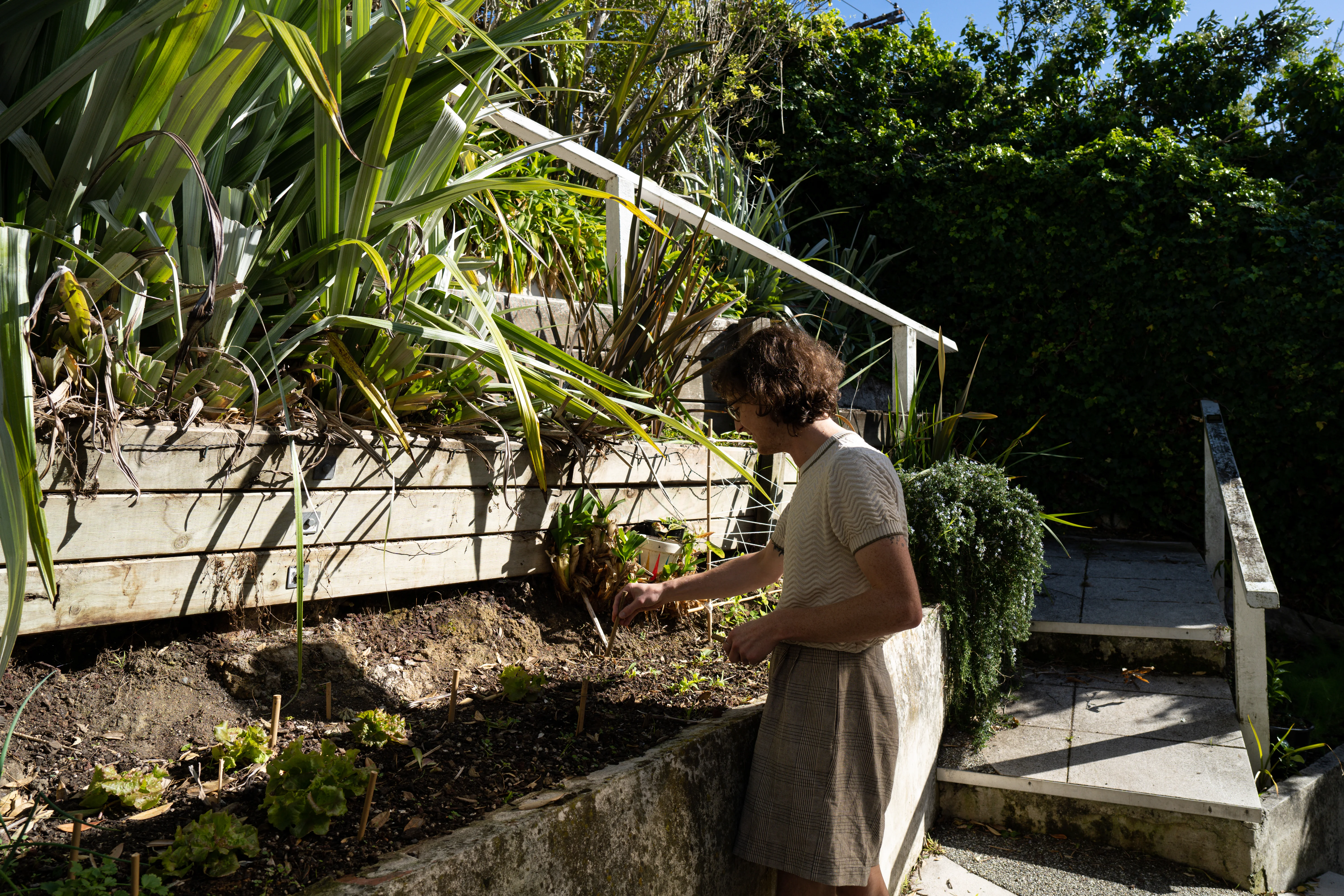 Various pictures in and around the home.