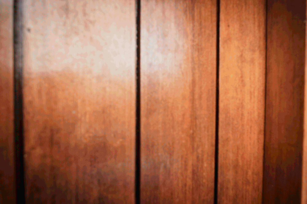 More photos of Evie and her home