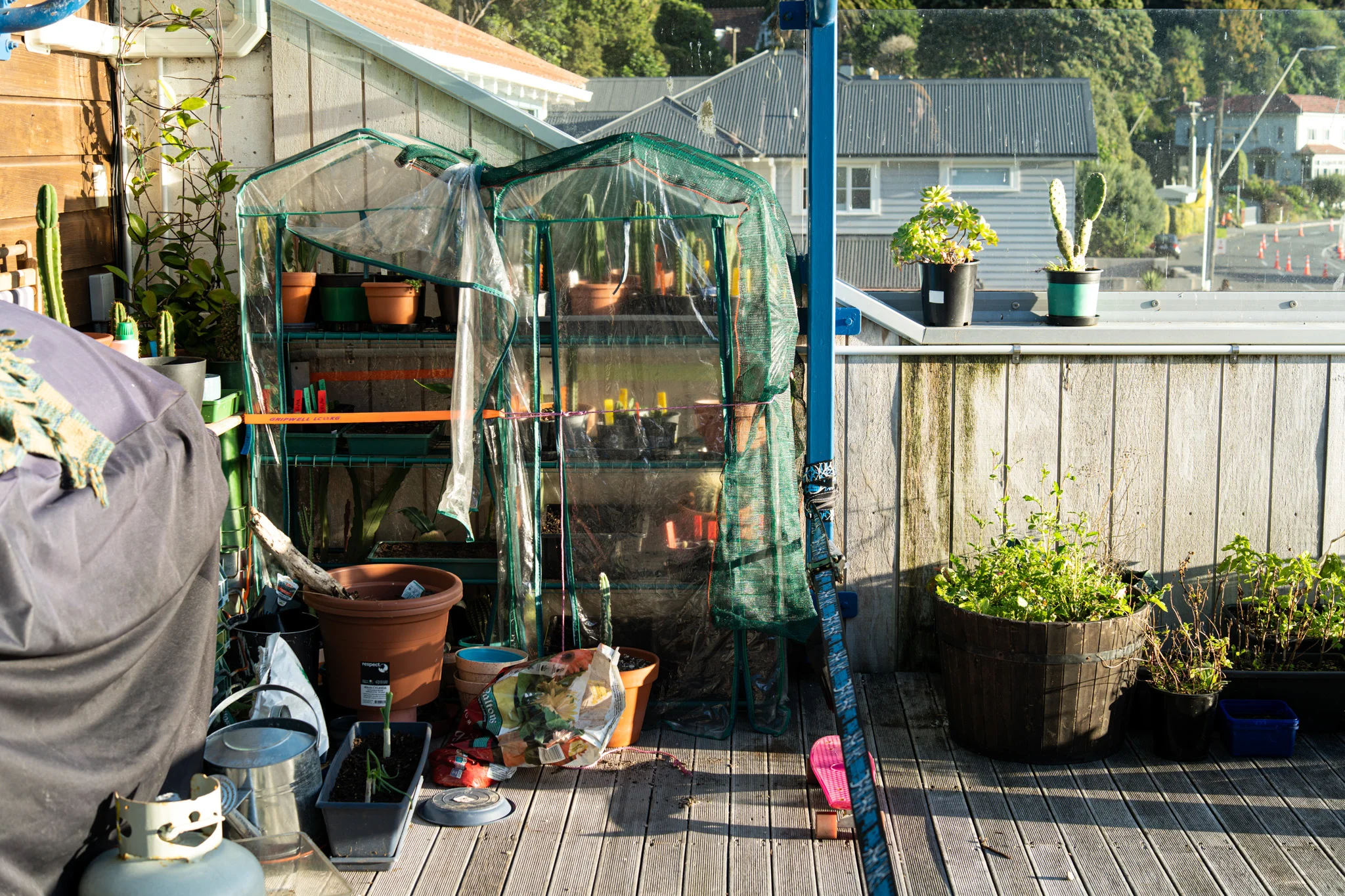 Photos from around the whare