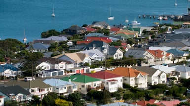 Wellington aerial 