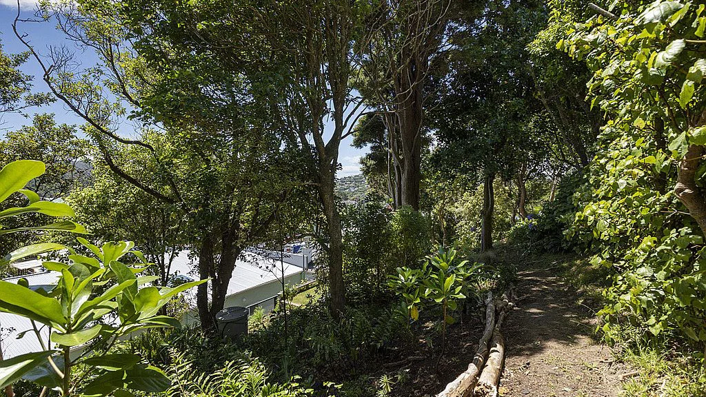 House in the city with a large backyard 