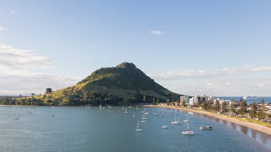 Tauranga and Mount Maunganui