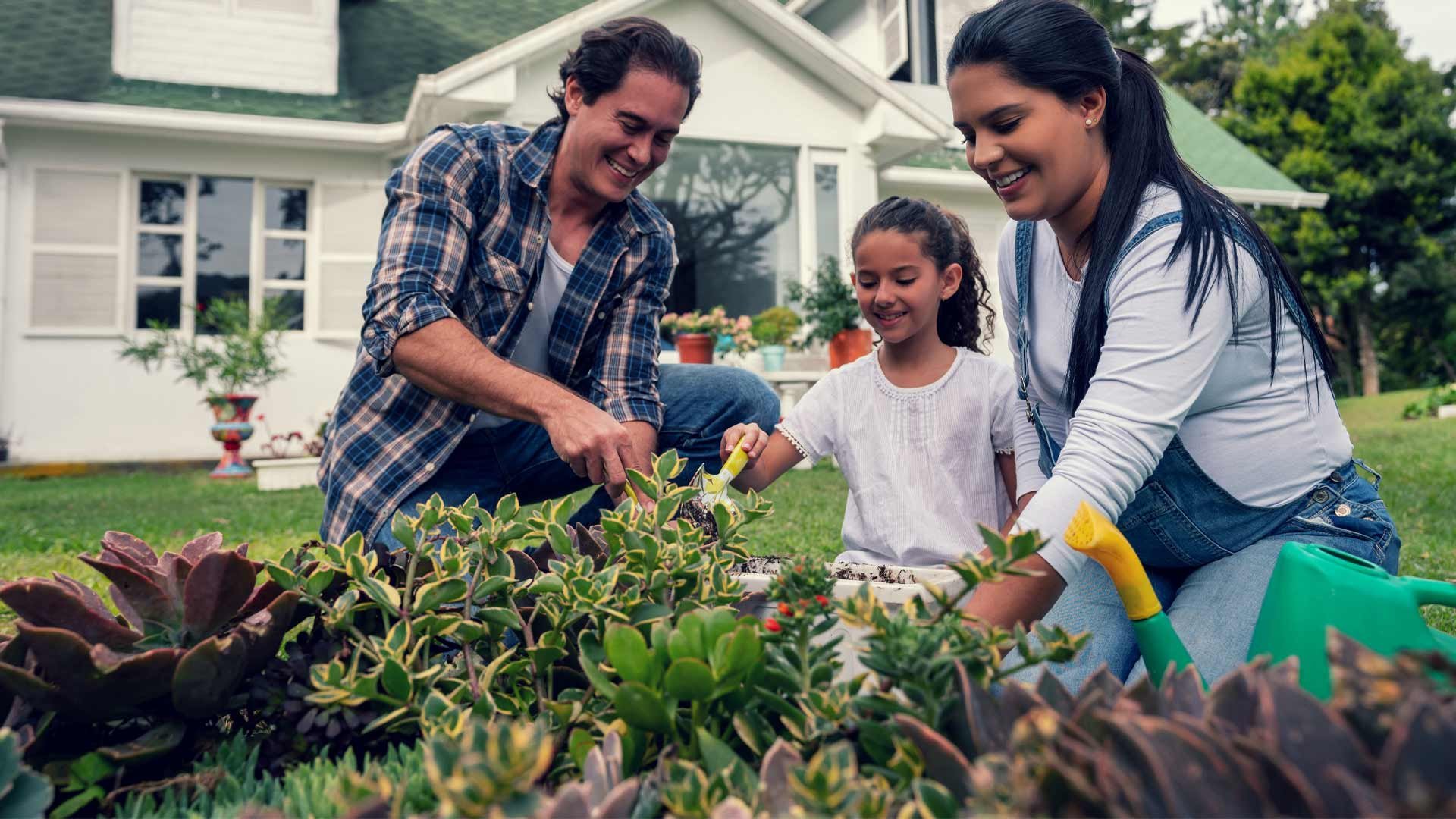 Family in garden on their lifestyle property in New Zealand.