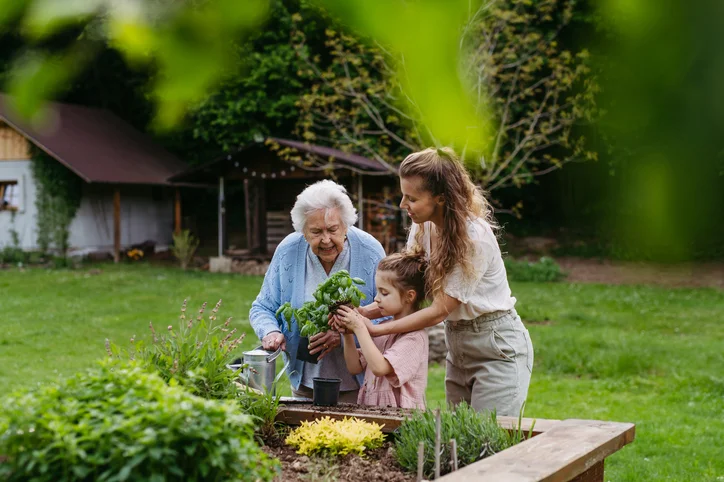 An elderly woman, a younger woman, and a young girl plant herbs together in a raised wooden garden bed.