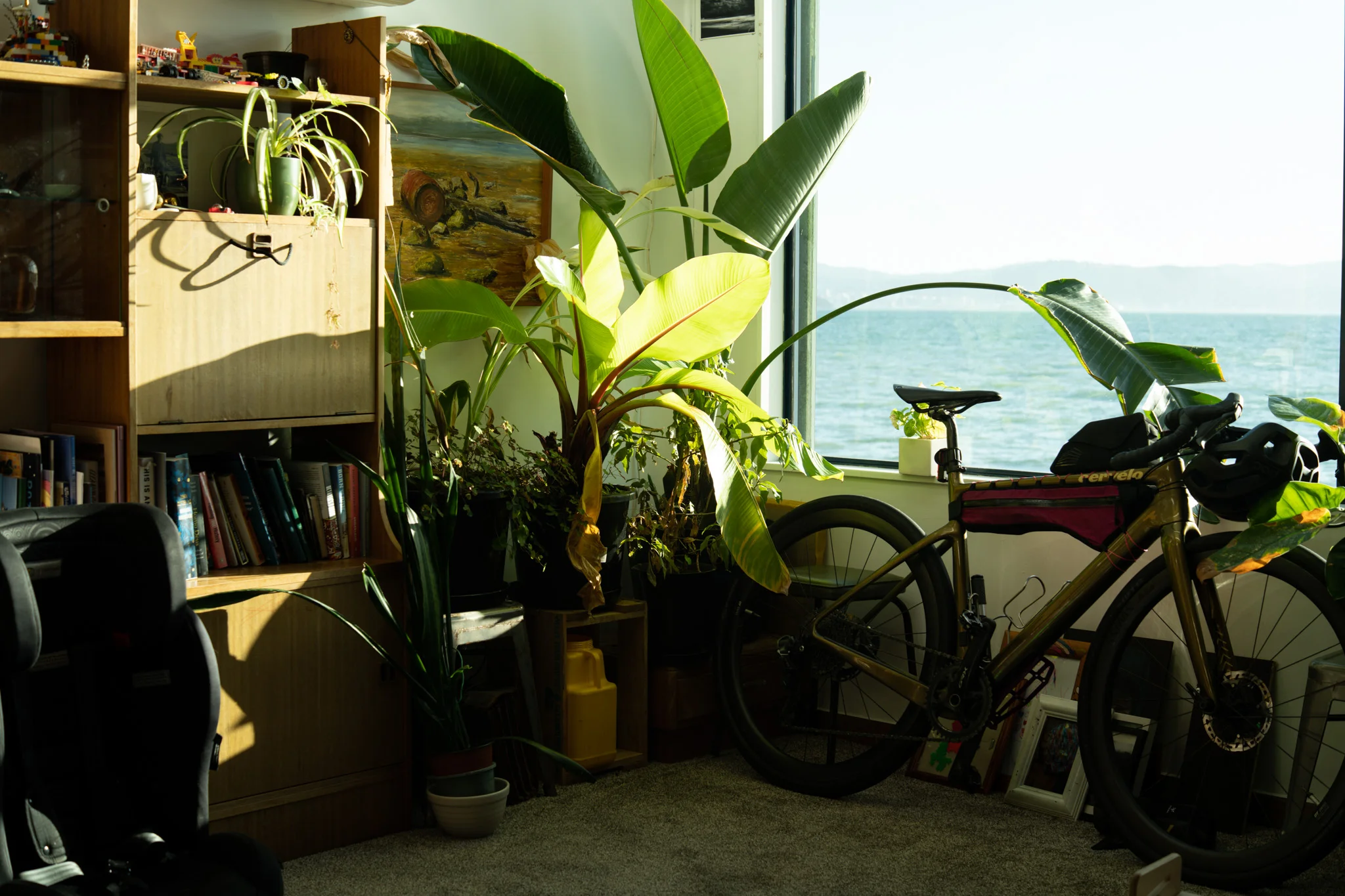 A snapshot of Ash, Georgia and Indigo's living space