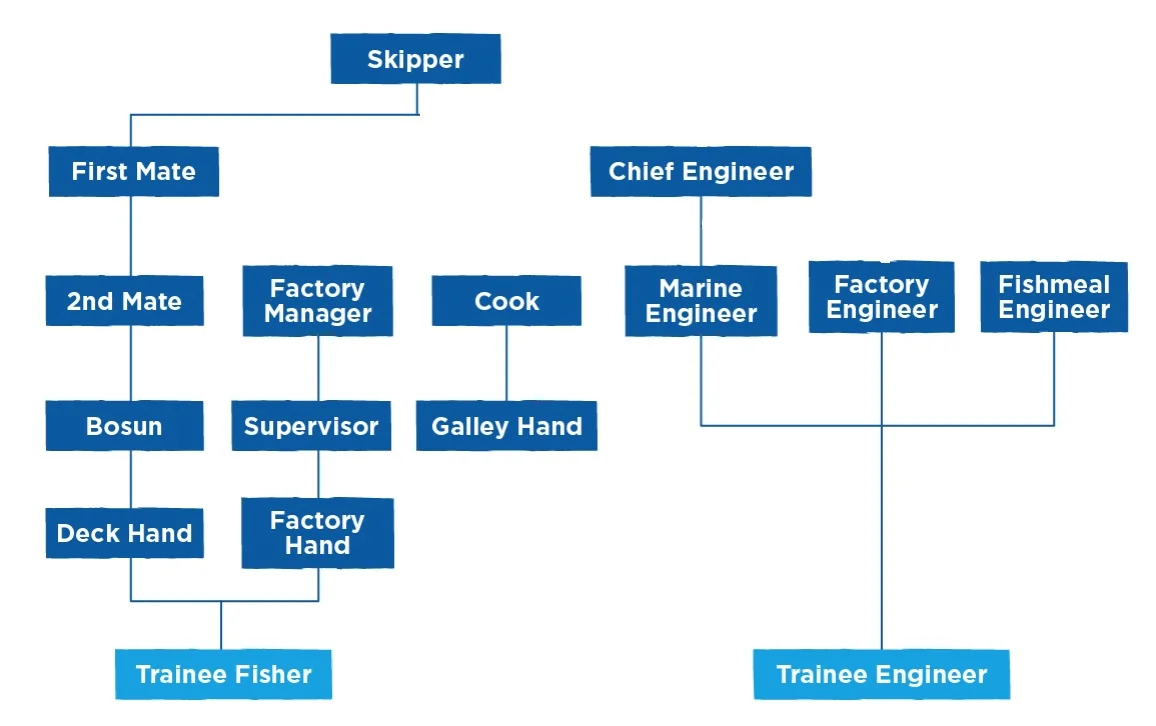 Sealord career progression