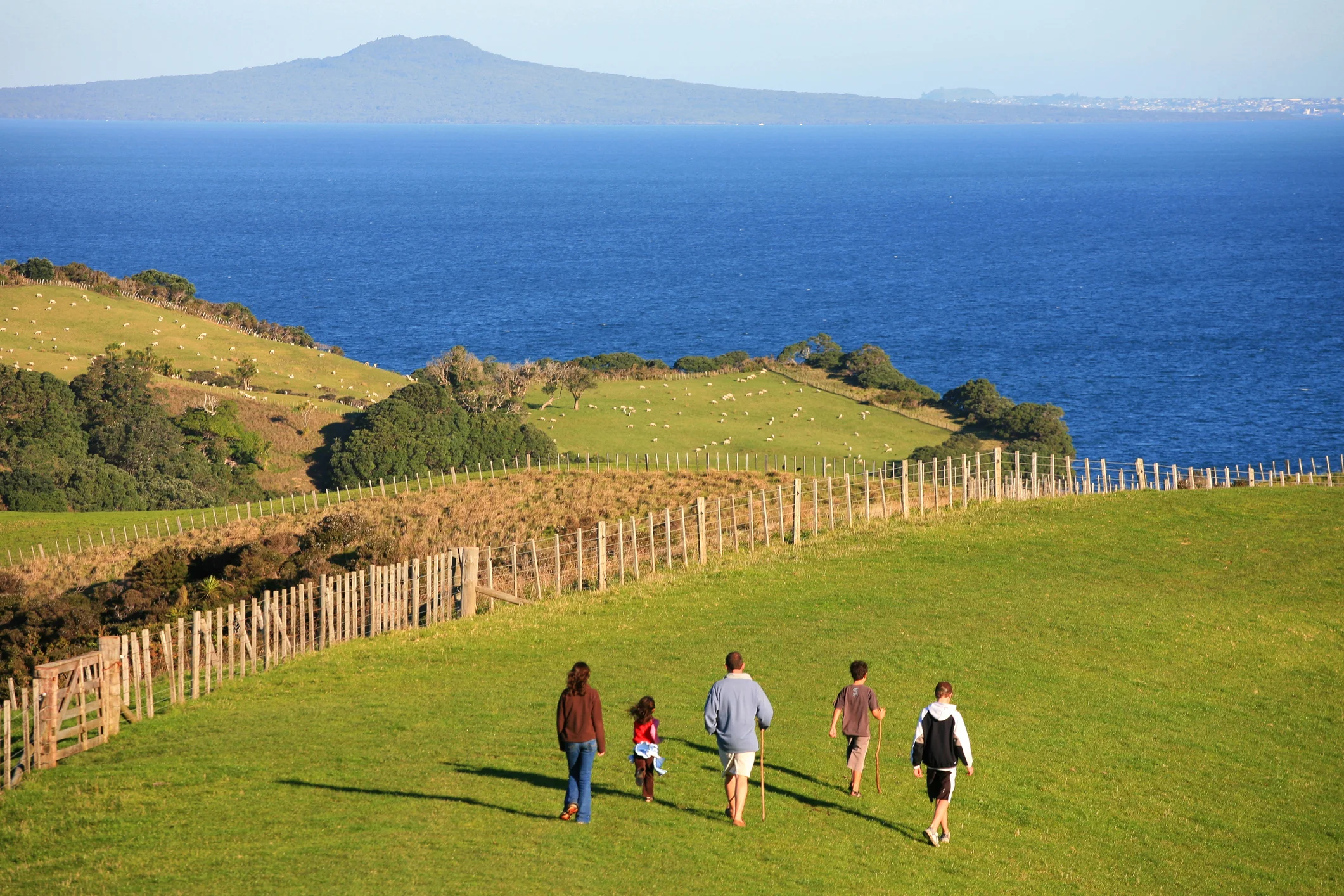 Family walking in NZ