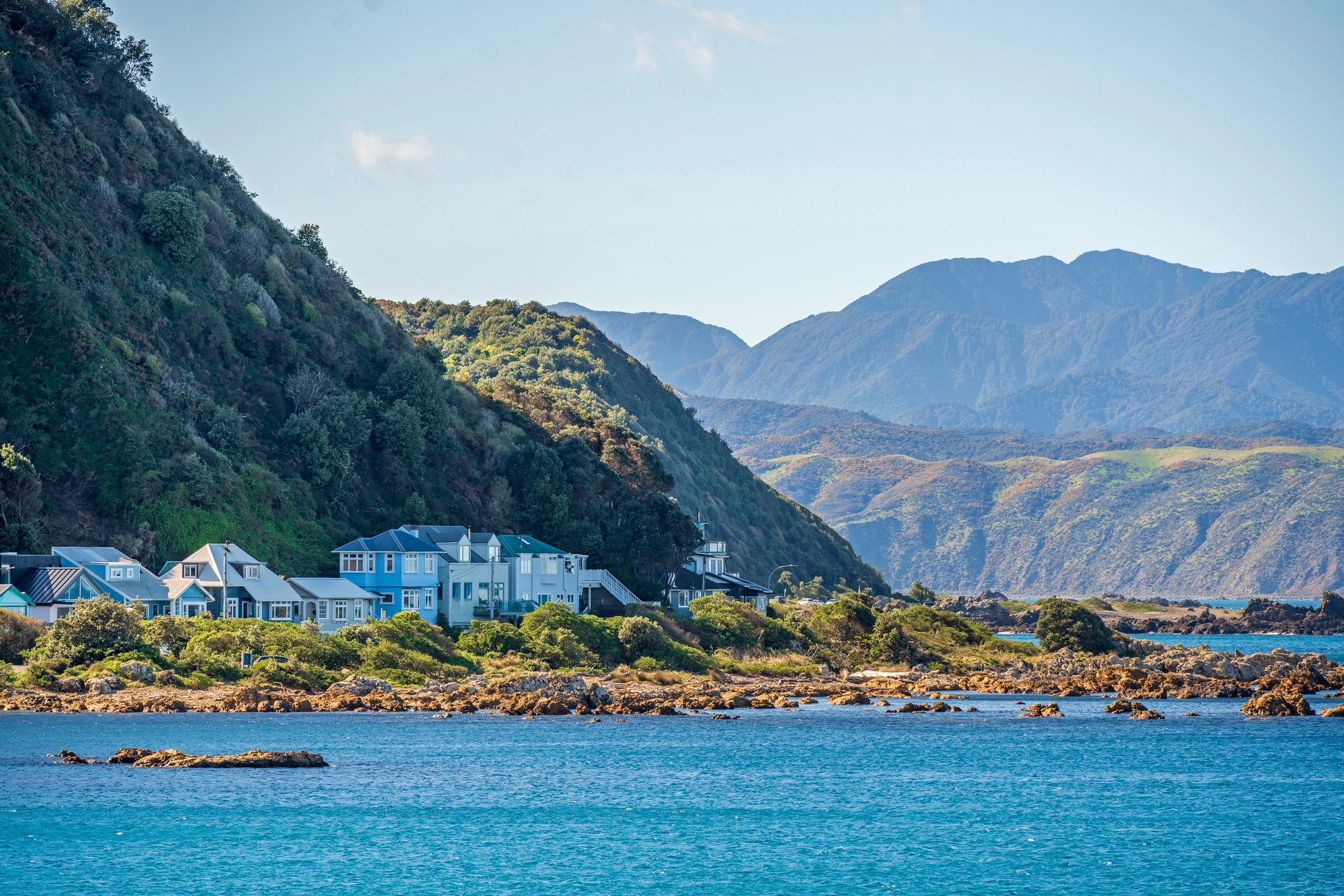 Island Bay houses