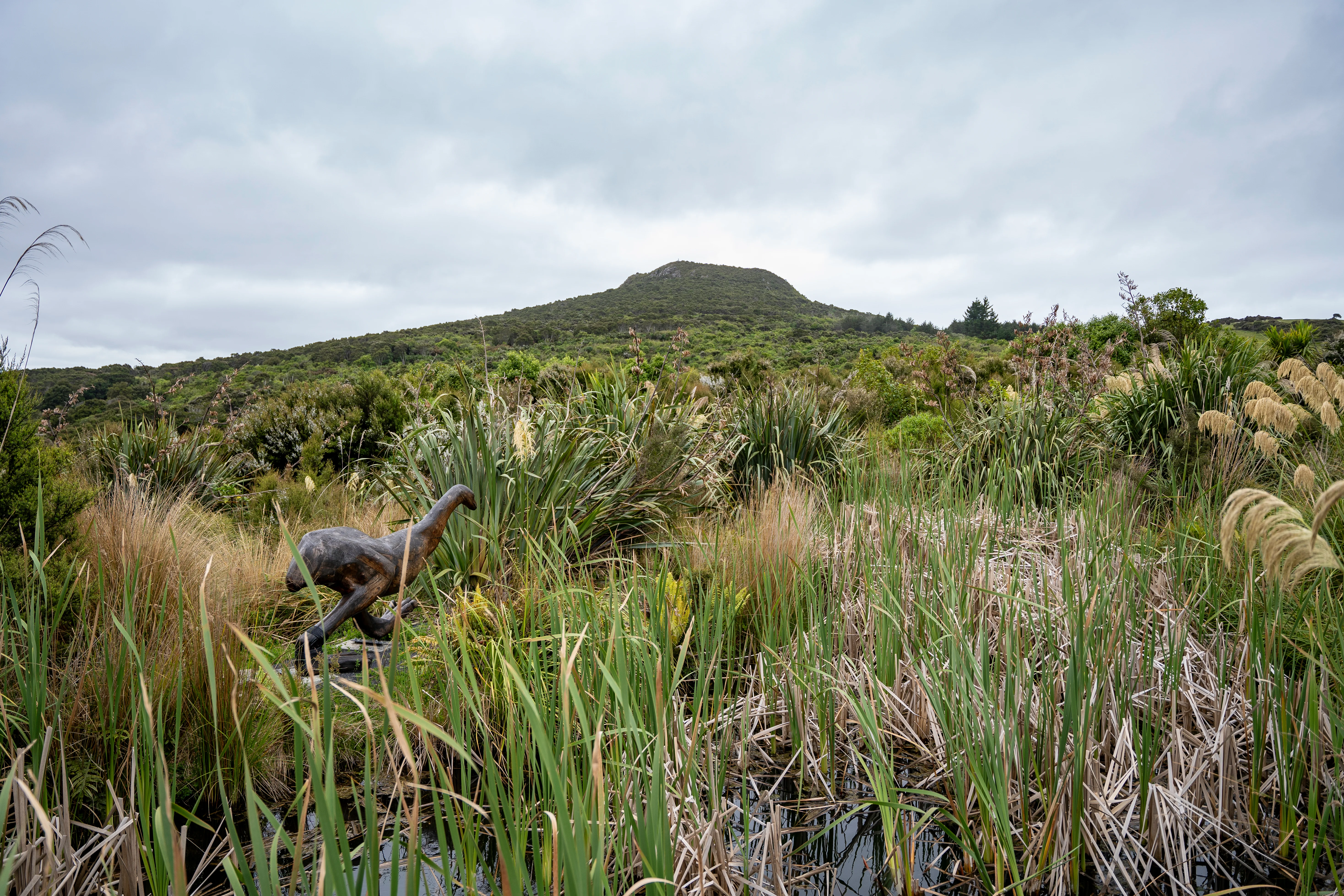 Native flora and fauna with a hill in the background. 