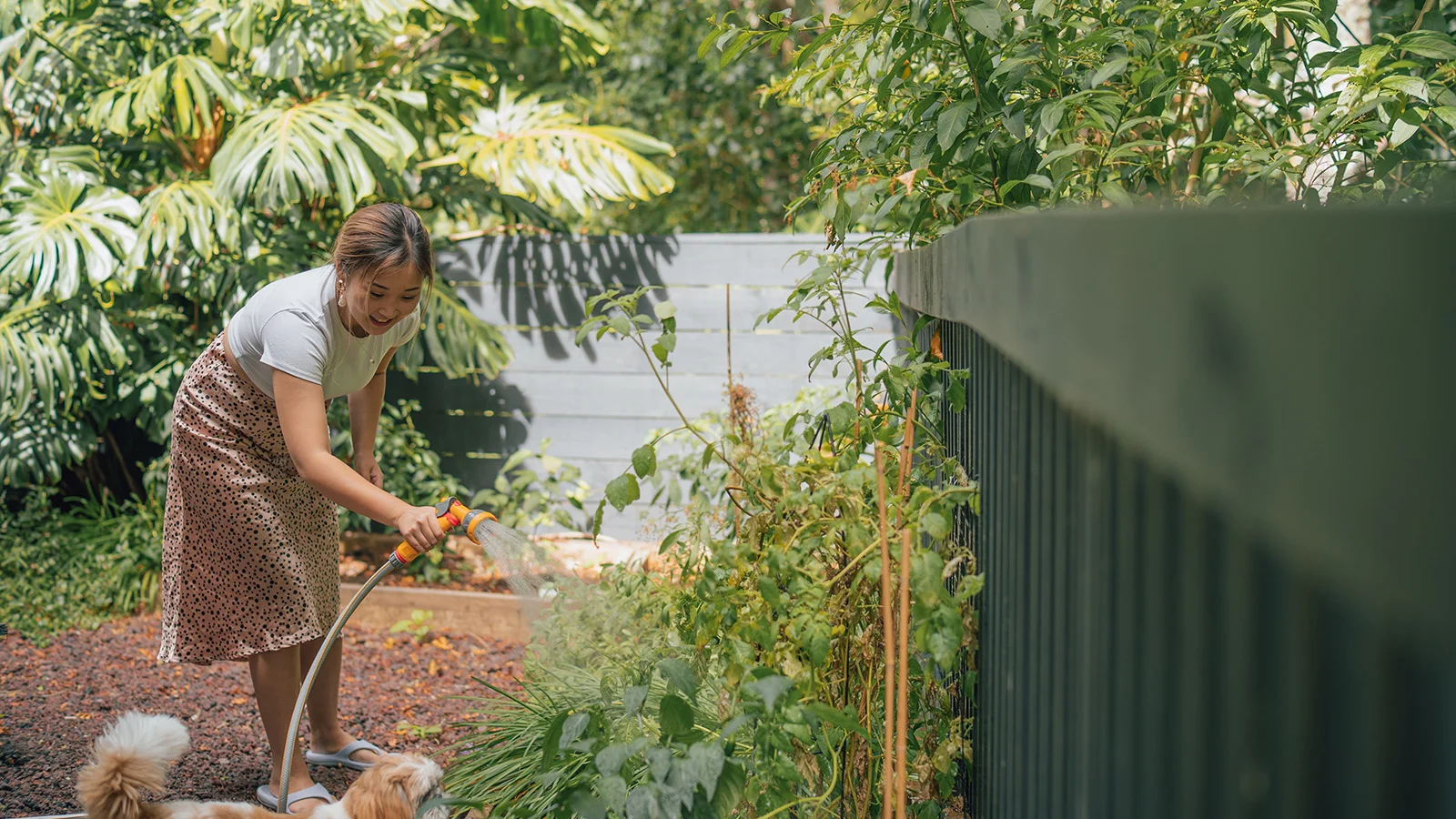 Getting the garden ready for an open home